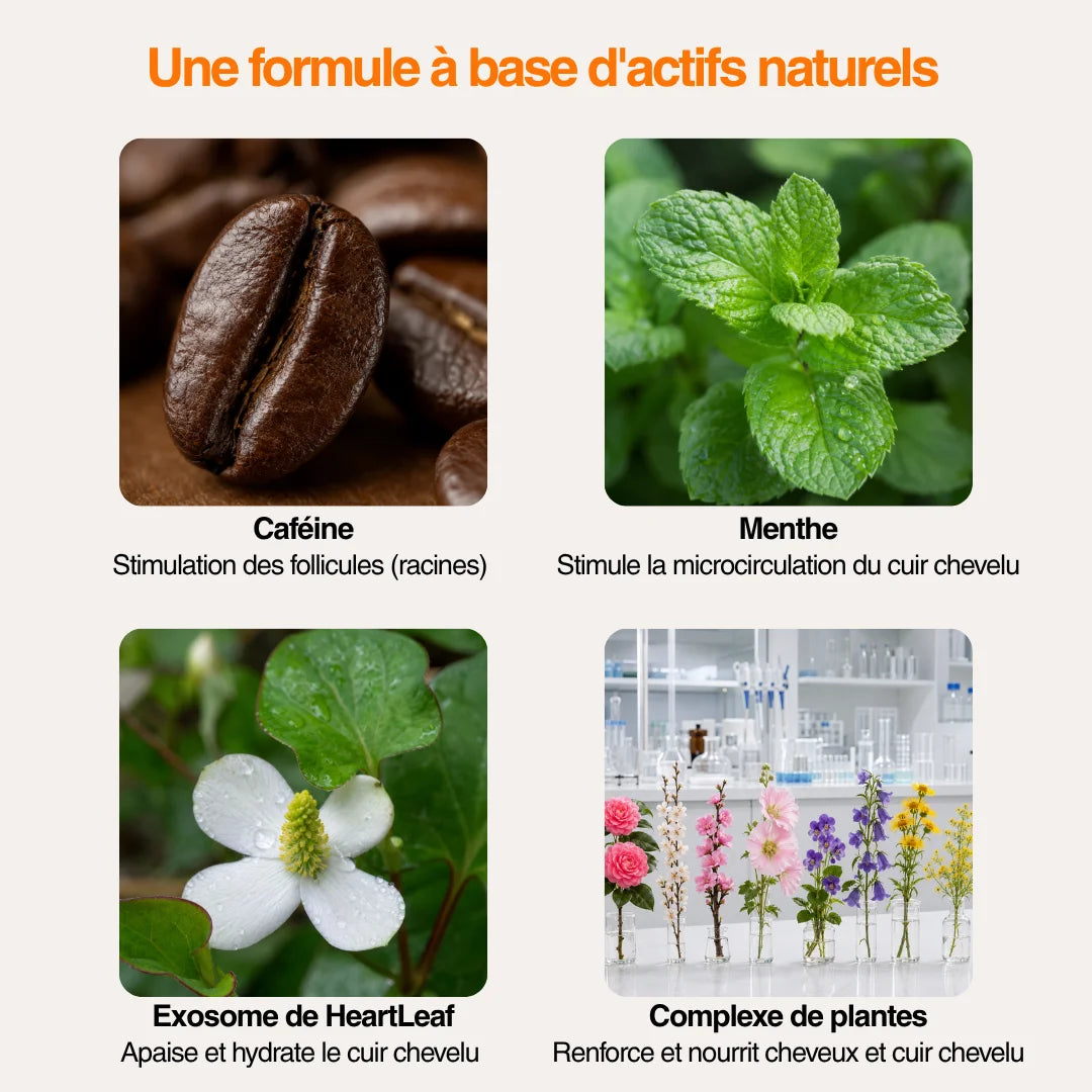 Lolaris - actifs naturels